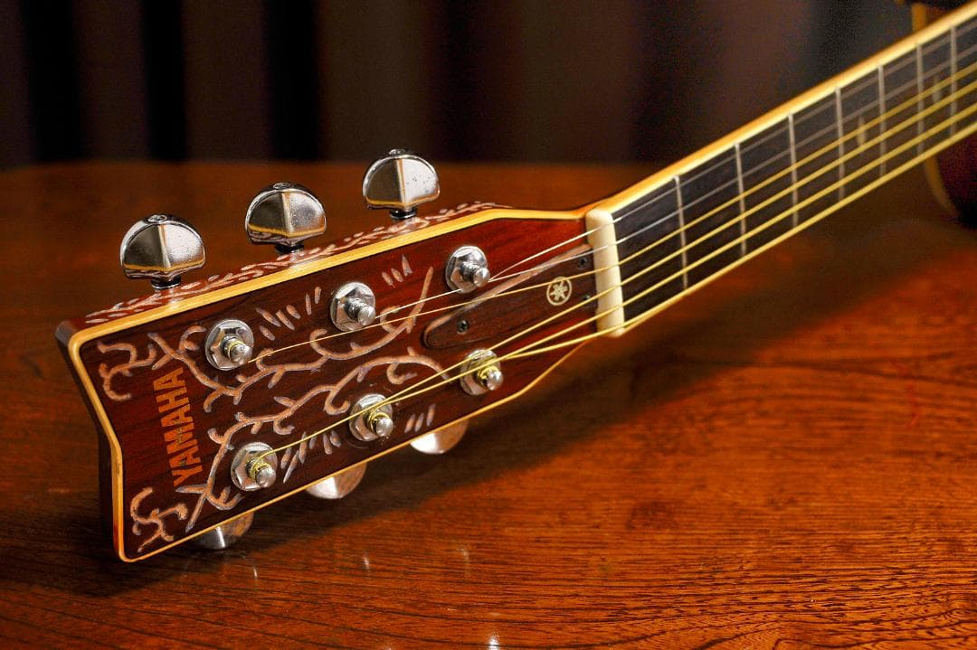 ★YAMAHA FGシリーズの奏でる華やかな場面で演出を高める【彫刻装飾ギター】