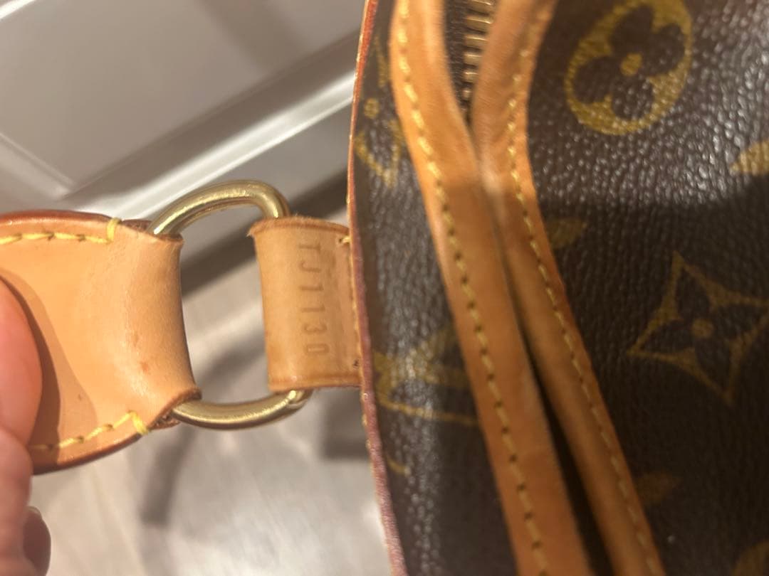 たけのこの里さま専用‼️ 希少　ルイヴィトン　ペットキャリー　 40㎝