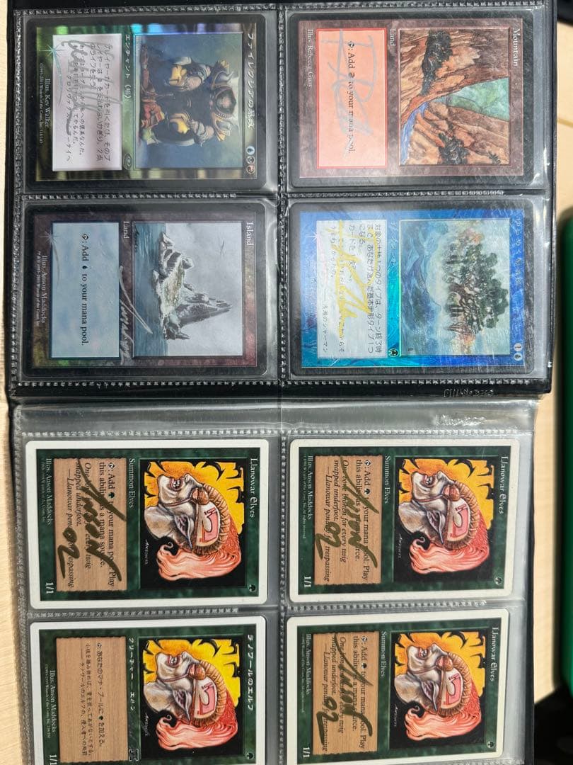 マジックザギャザリング。49枚全てサイン入りです。ファイル丸ごと出品！