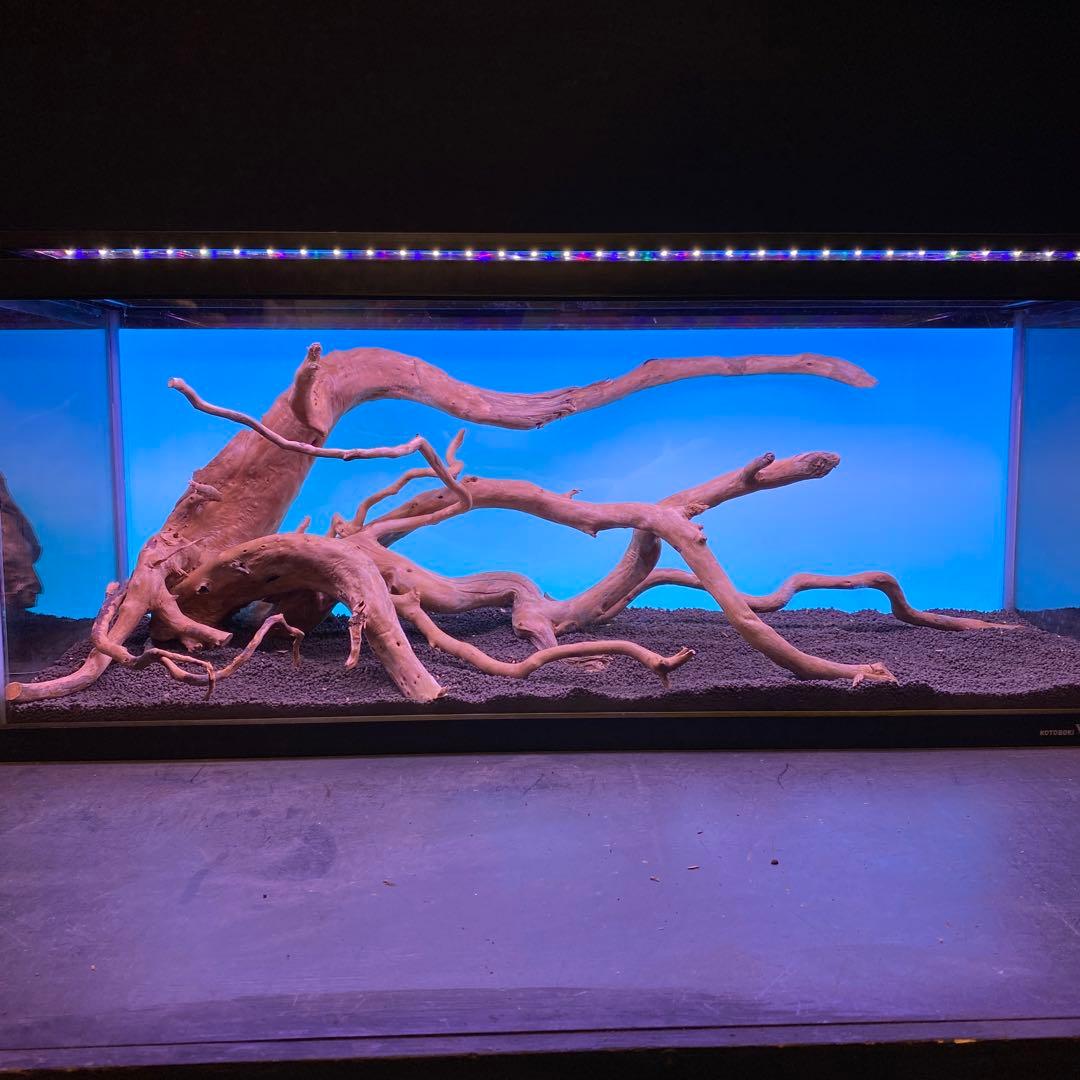 MDW-6678 ブランチウッドレイアウトセット　90cm水槽用流木　枝流木