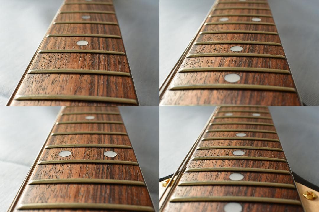 Aria Pro II CS-350T ピックアップ増設 バーズアイピックガード