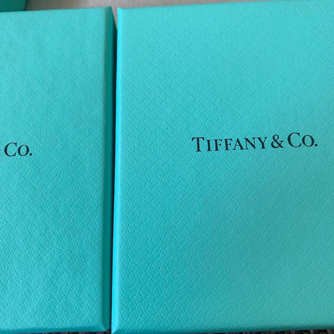 現行品　美品ティファニー空箱巾着袋10セット