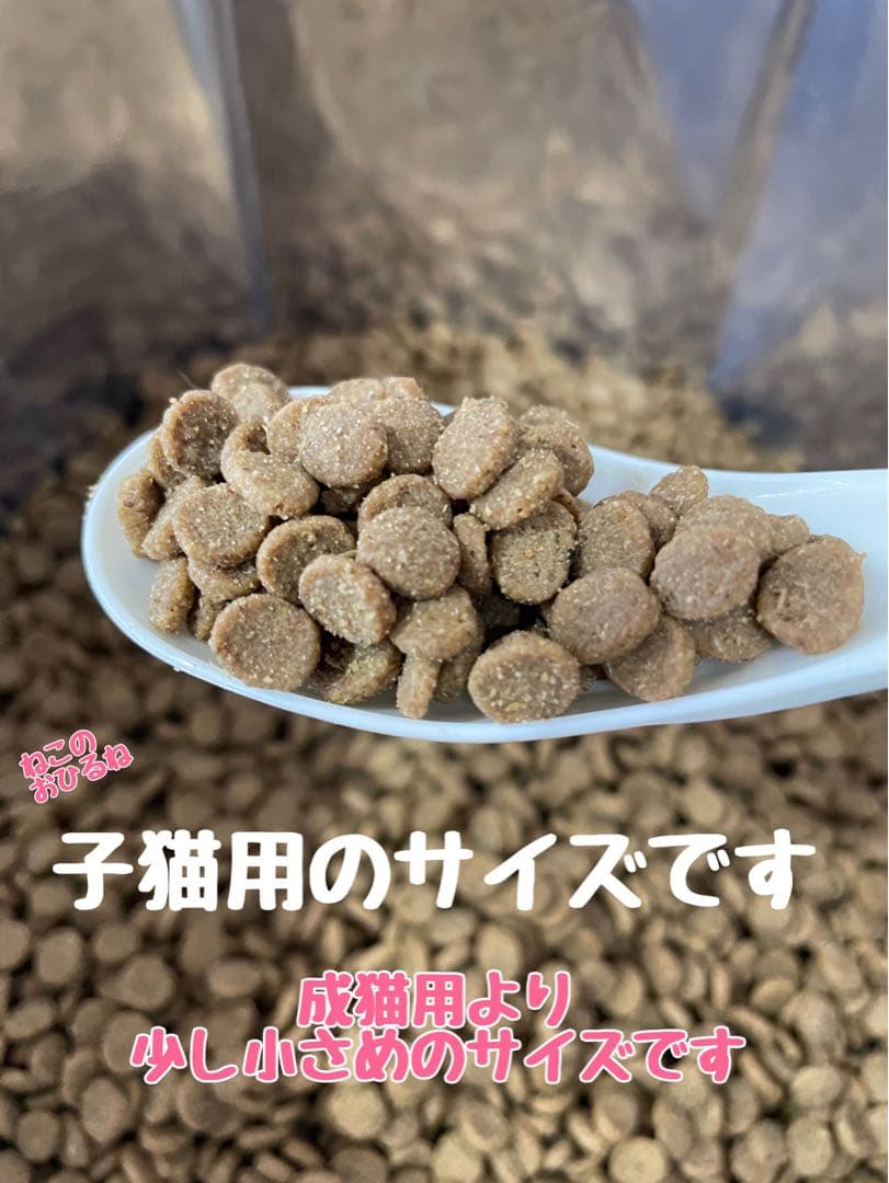 ニュートロシュプレモ　子猫用　（チキン&サーモン）　3kgパック×4袋