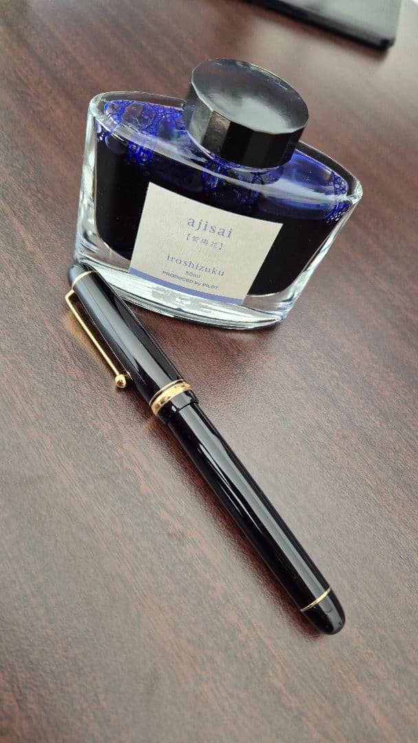 PILOT パイロット 万年筆 カスタム74　Mニブ　インク付き