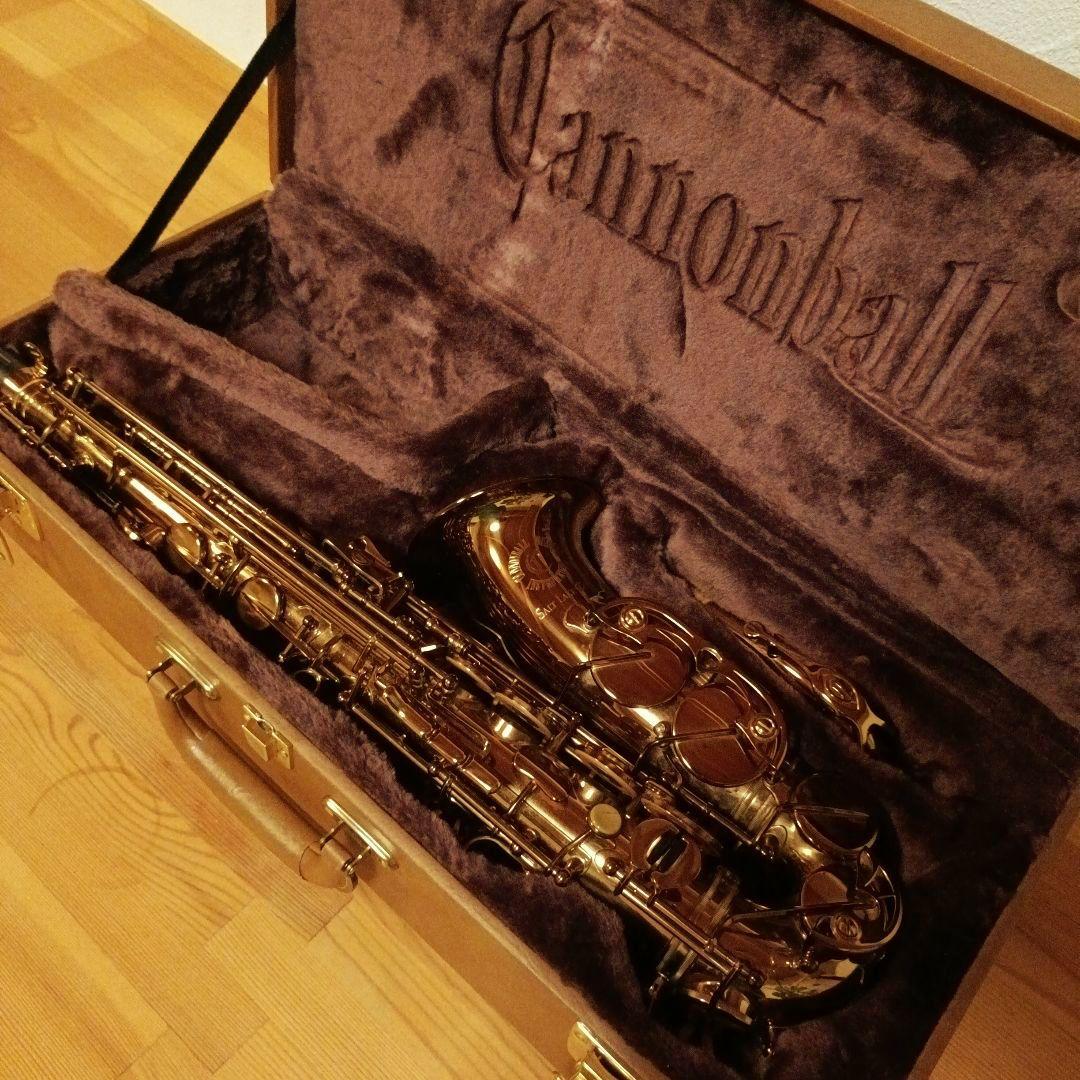 【1/5迄値下】キャノンボール ヴィンテージリボーンシリーズ アルト AVR-L