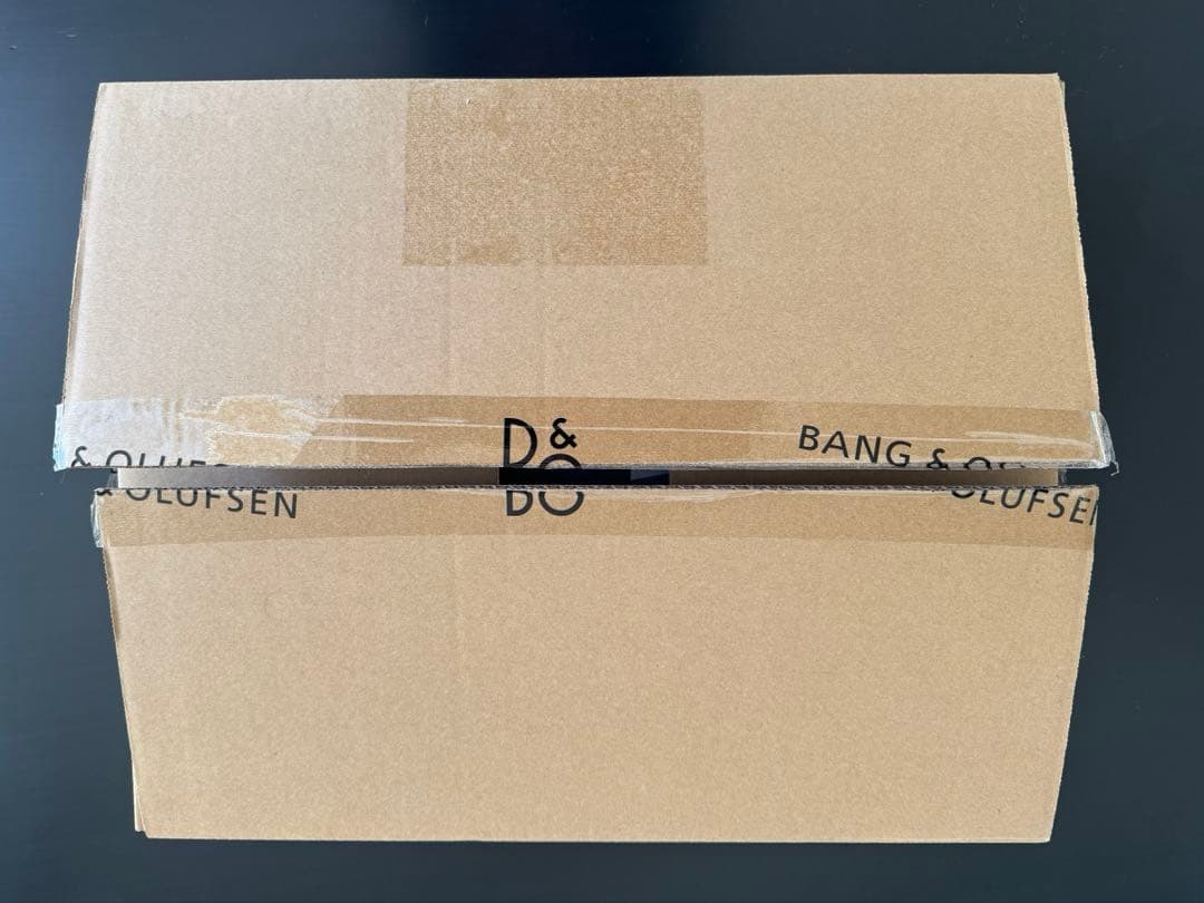 【美品】Bang & Olufsen Beosound Level
