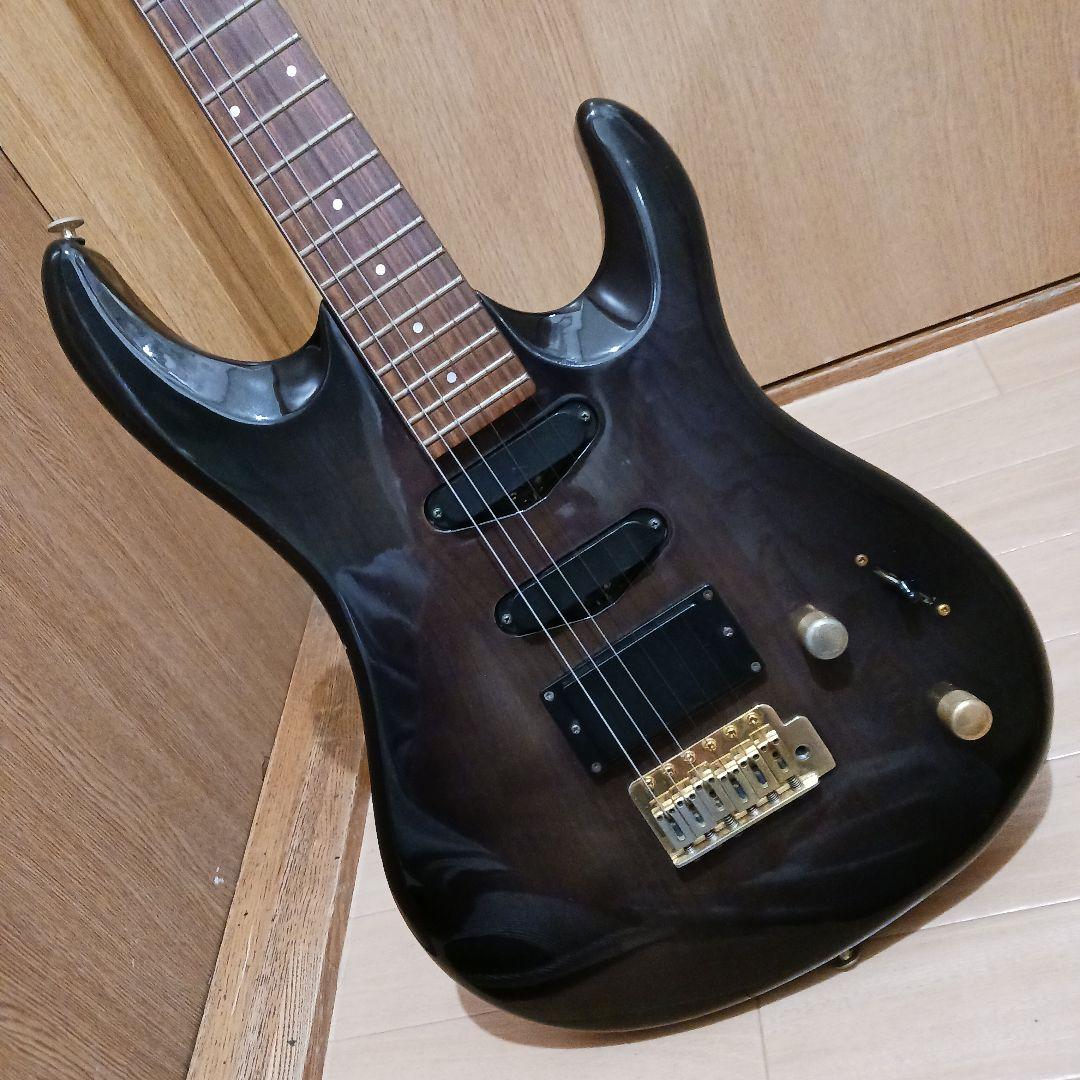 エレキギター＆ギグバッグ