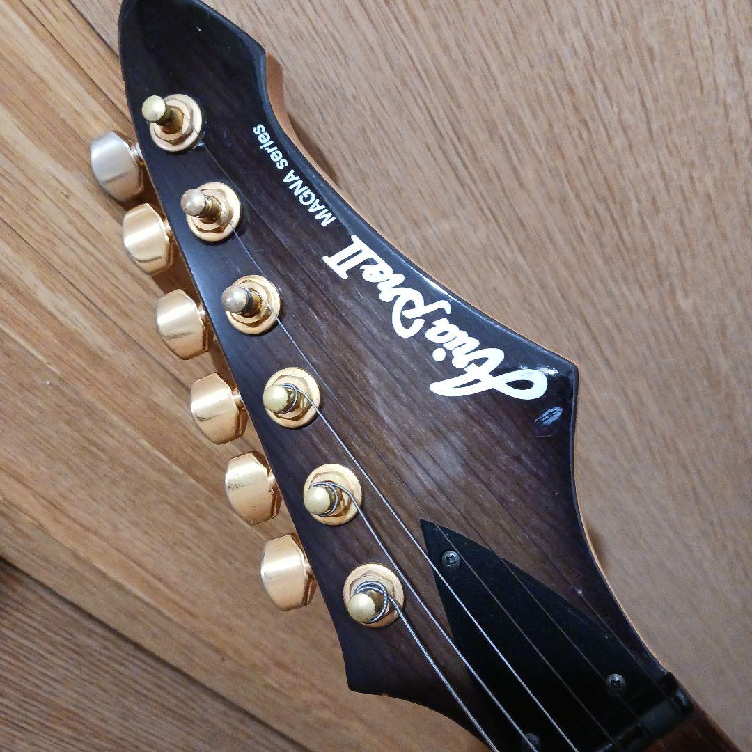 エレキギター＆ギグバッグ