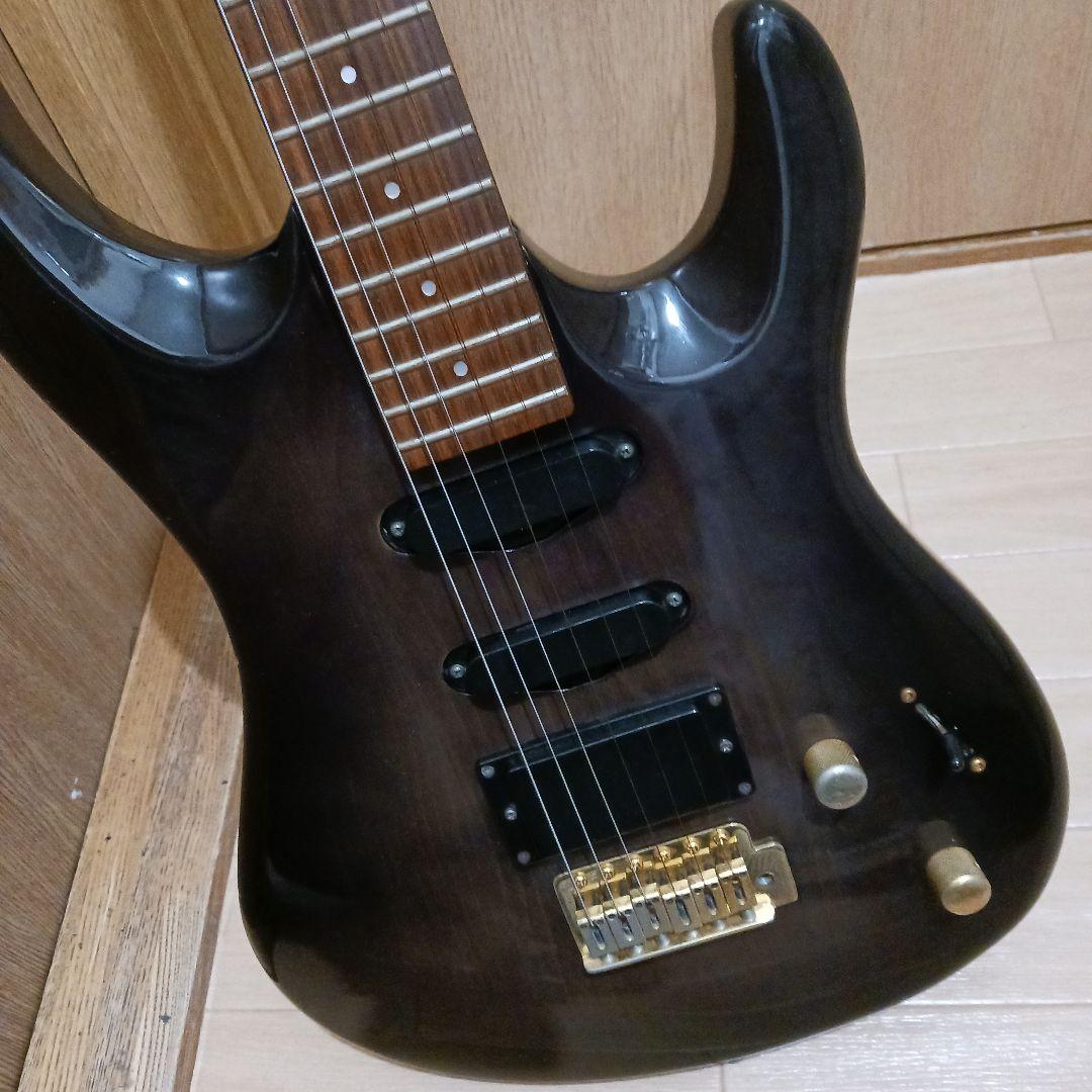 エレキギター＆ギグバッグ