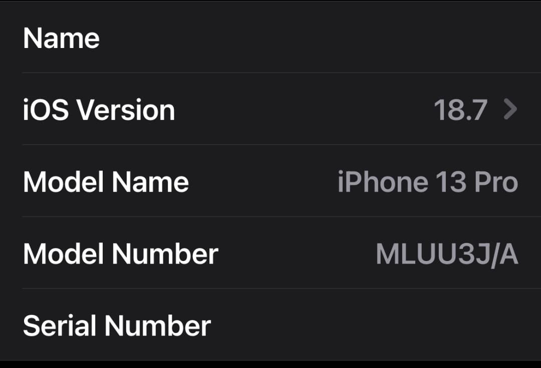 iPhone 13 Pro 256GB （SIMフリー）+ Anker充電器