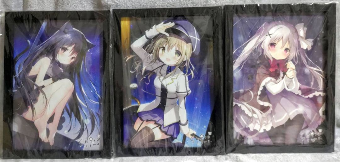 たまこてん２ 京都巡回展 星空鉄道とシロの旅 額付 サイン入り ミニアートグラフ