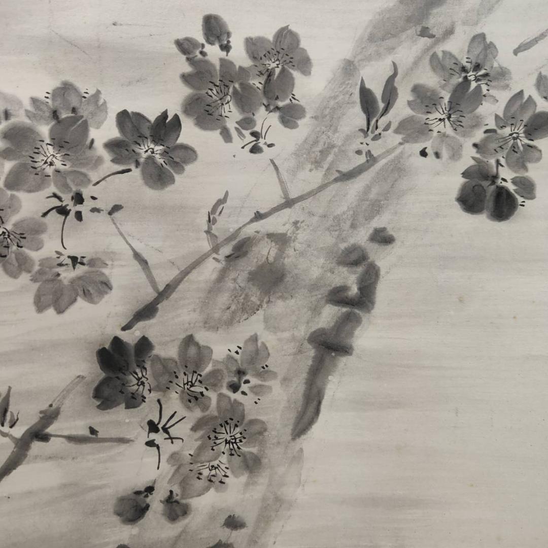 真作/巣雲/夜桜画賛/山水/桐共箱付/布袋屋掛軸A-411