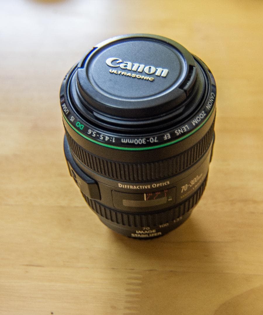 Canon 望遠ズームレンズ EF70-300mm DO IS USM