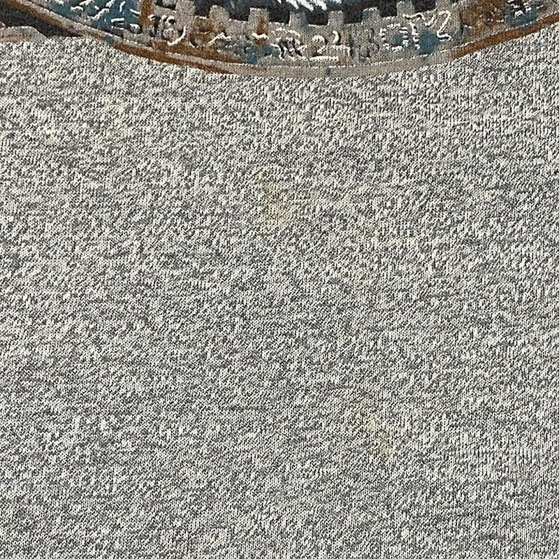 80年代ヴィンテージ TRIUMPH THUNDER SEVEN Tシャツ