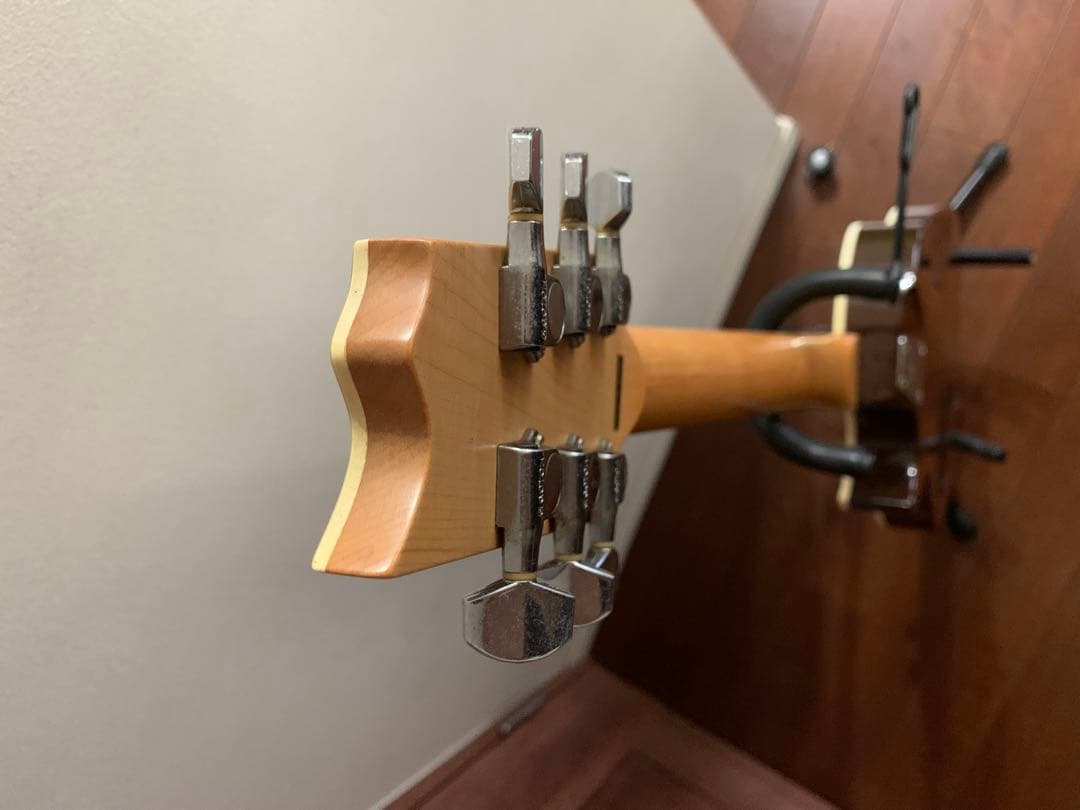 【美品】ESP エレアコ　バリトラ