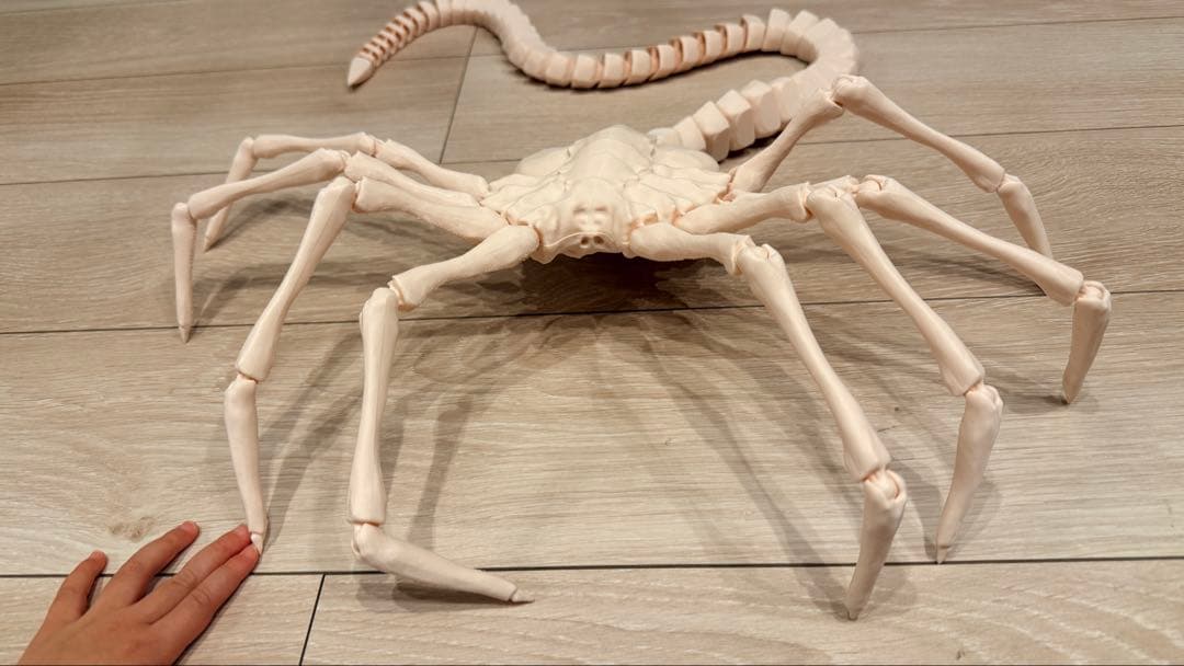 【エイリアン/Alien】可動関節式！超リアル実物大 フェイスハガー3Dプリント