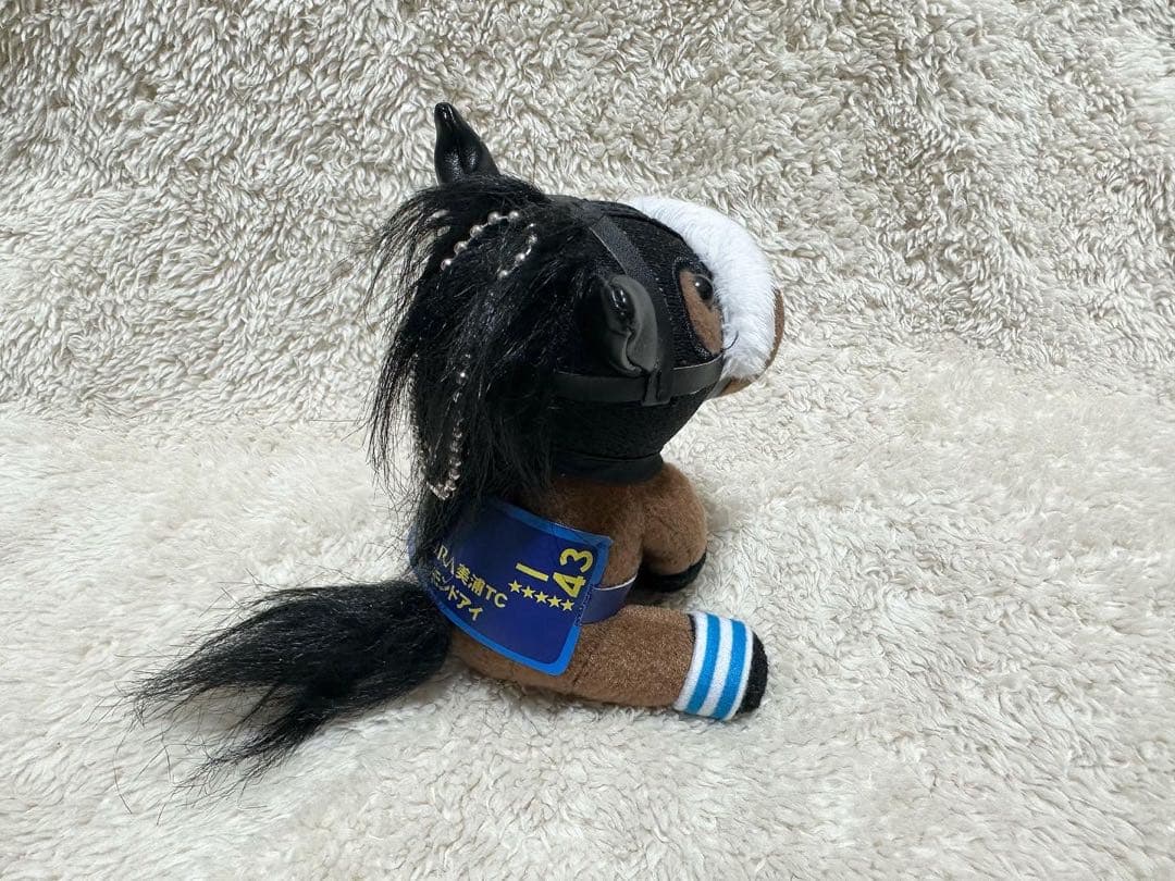 非売品　アーモンドアイ　美浦トレセン　アイドルホース