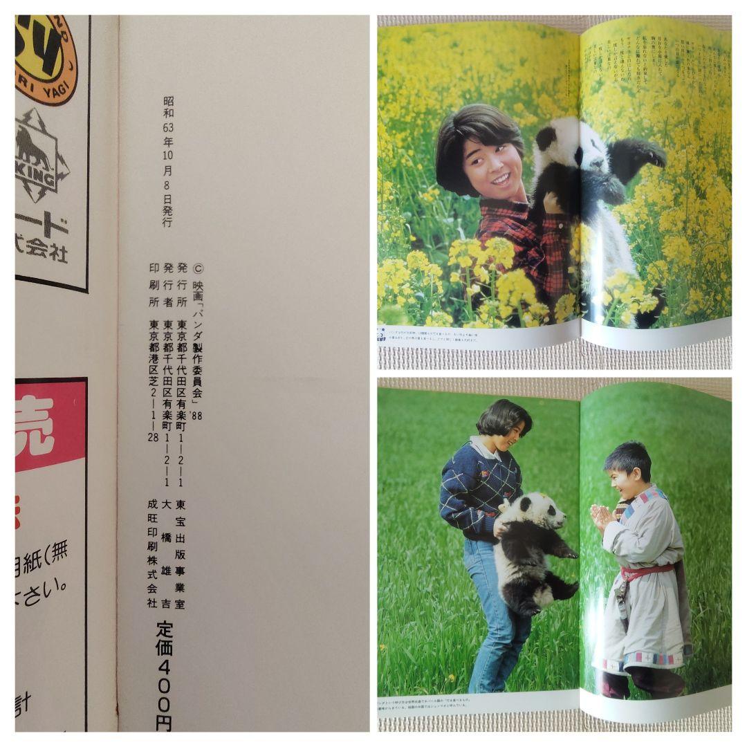 八木さおり 激レア7点セット 直筆サイン パンダ物語VHS リマスターCD