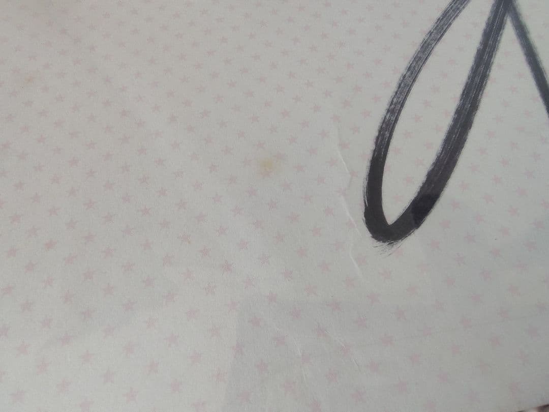 八木さおり 激レア7点セット 直筆サイン パンダ物語VHS リマスターCD