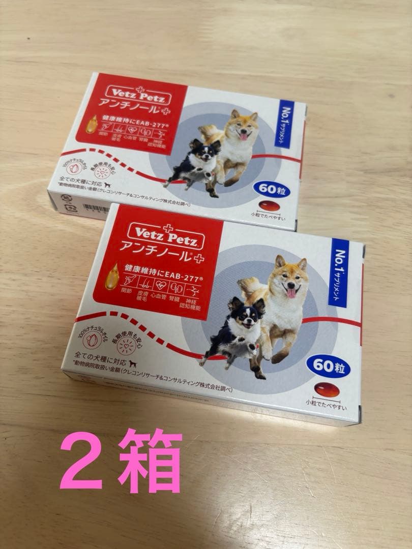 アンチノールプラス60粒2箱