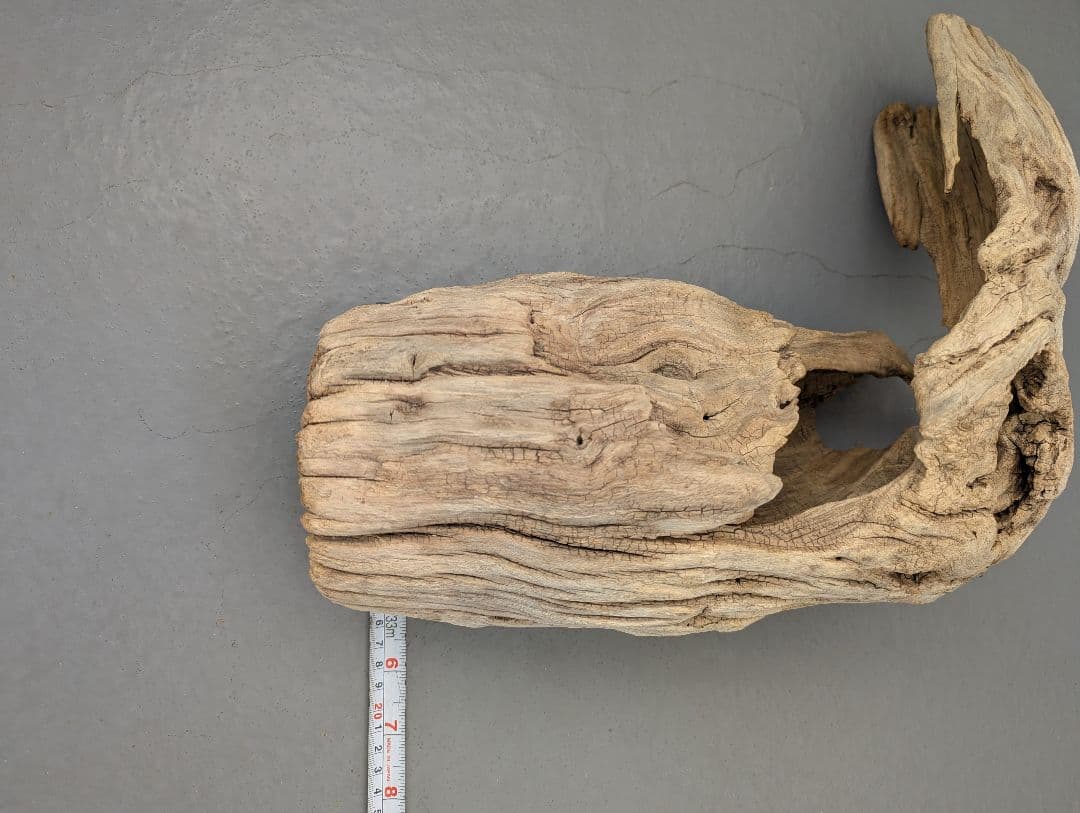 流木 約50cm 自然な形状　ビーチコーミング　アート素材　爬虫類　テラリウム