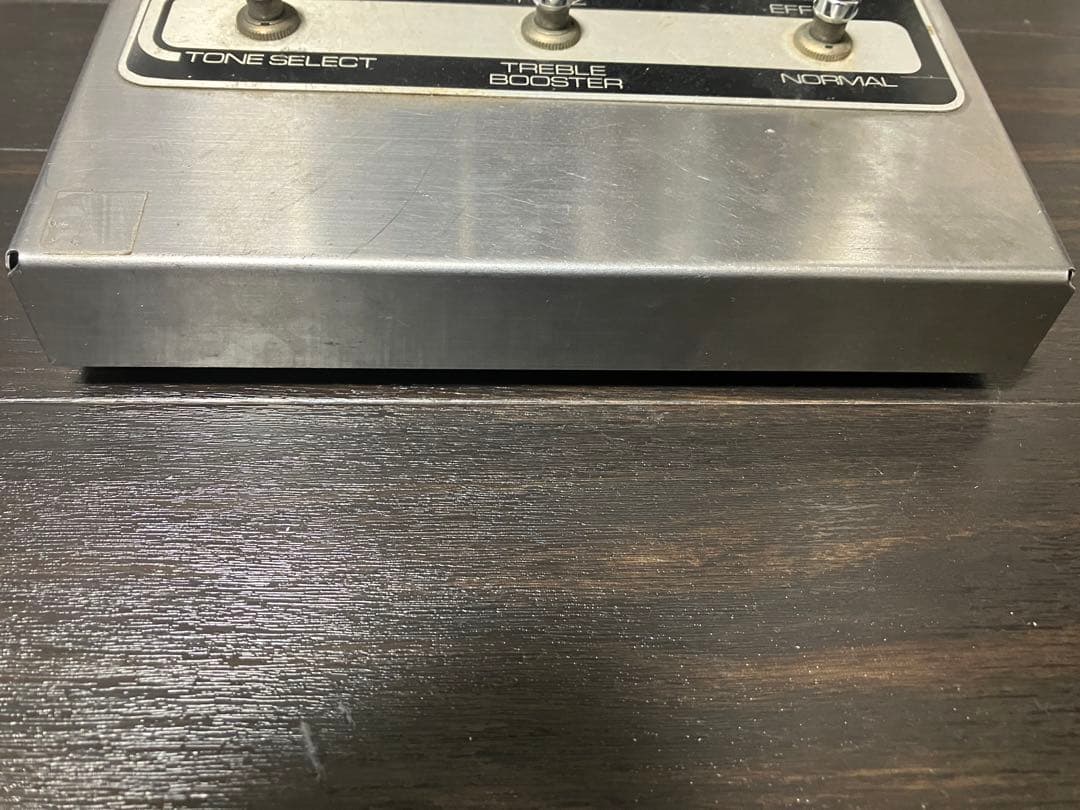 ギター Roland AF100 Bee Baa