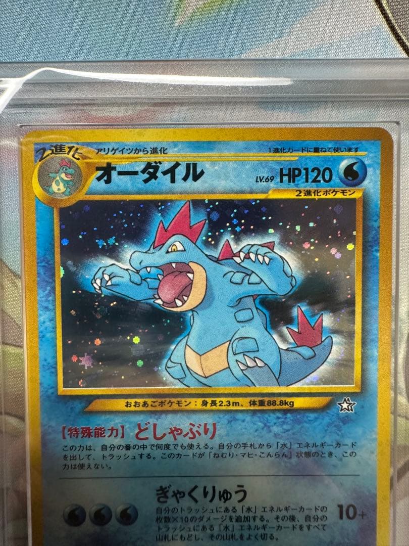 バクフーン　メガニウム　オーダイル　旧裏　ARS10 セット　渦巻き