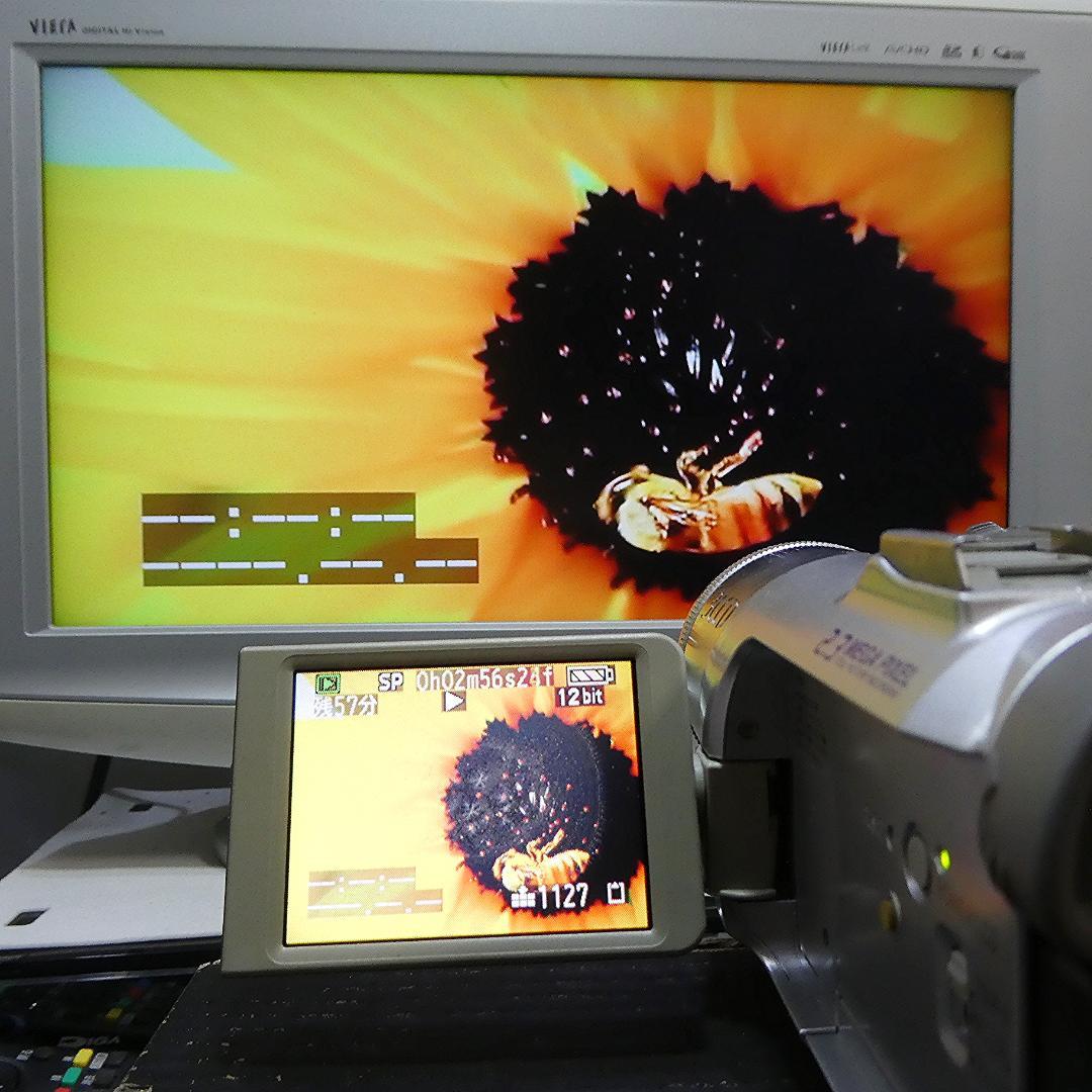 動作良好 パナソニック NV-GS150 MiniDVビデオDVDダビングに最適