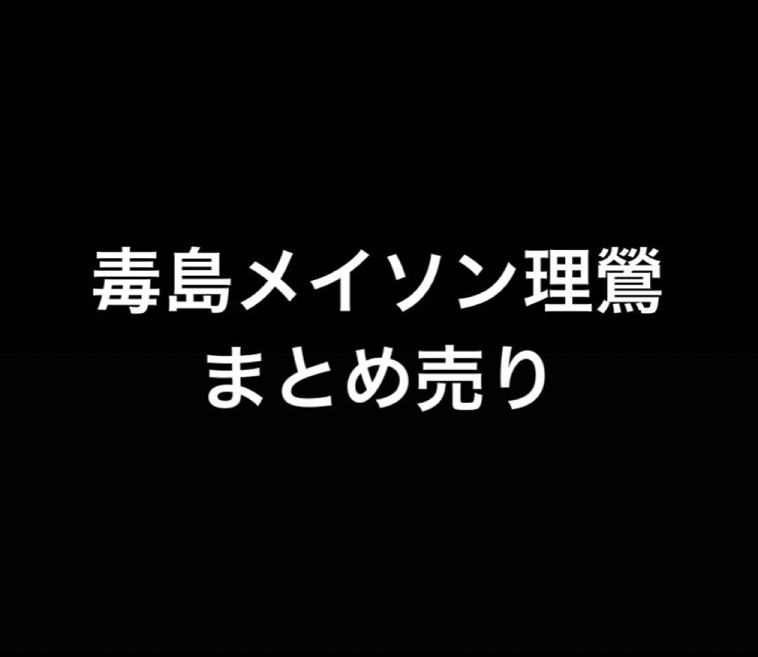 毒島メイソン理鶯