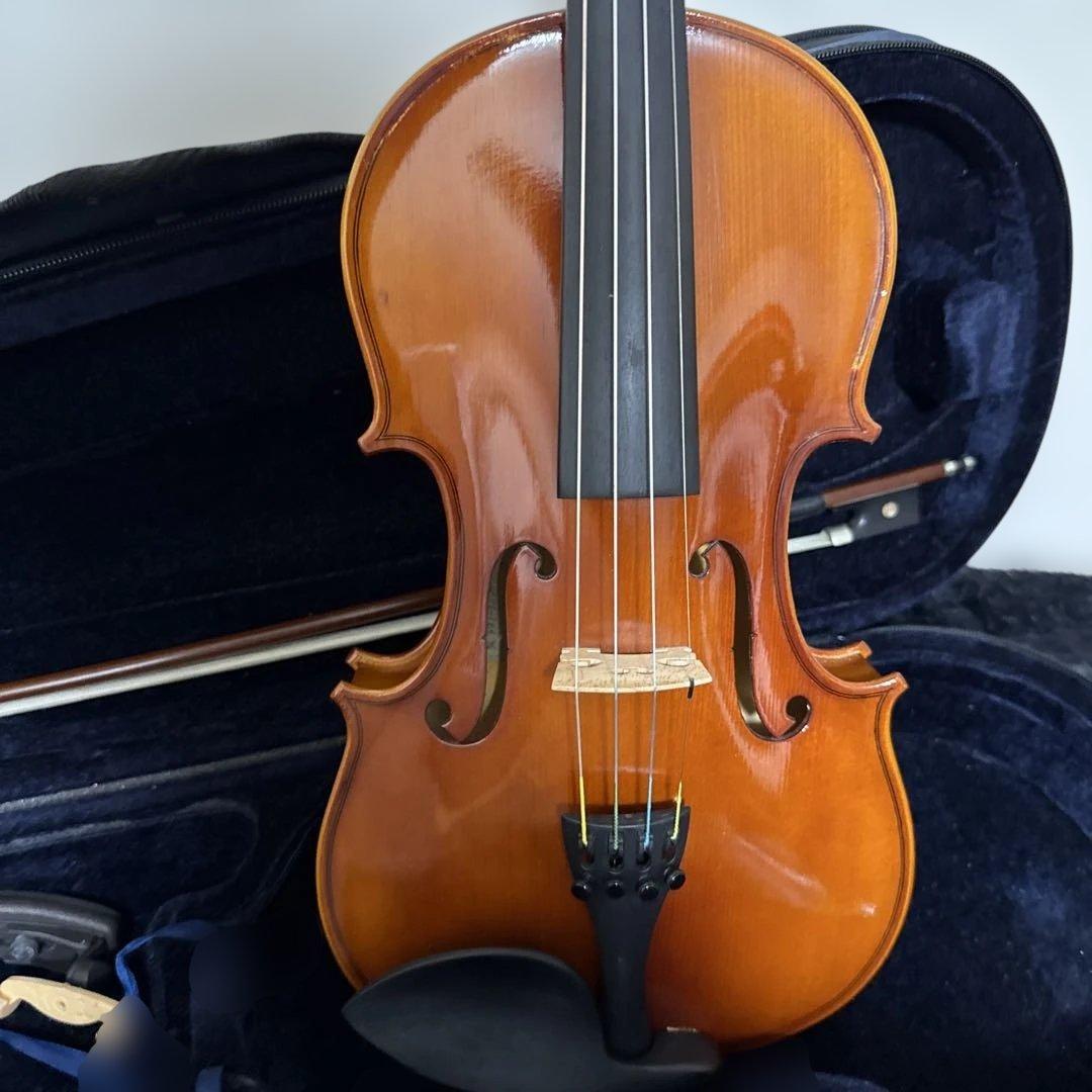 整備済み Carlo Giordano VS-1 4/4サイズ バイオリン
