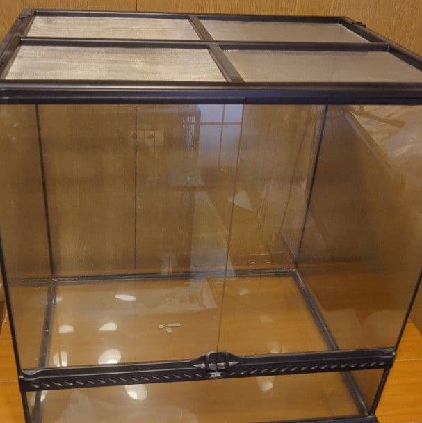 ※説明欄必読　GEX グラステラリウム6060