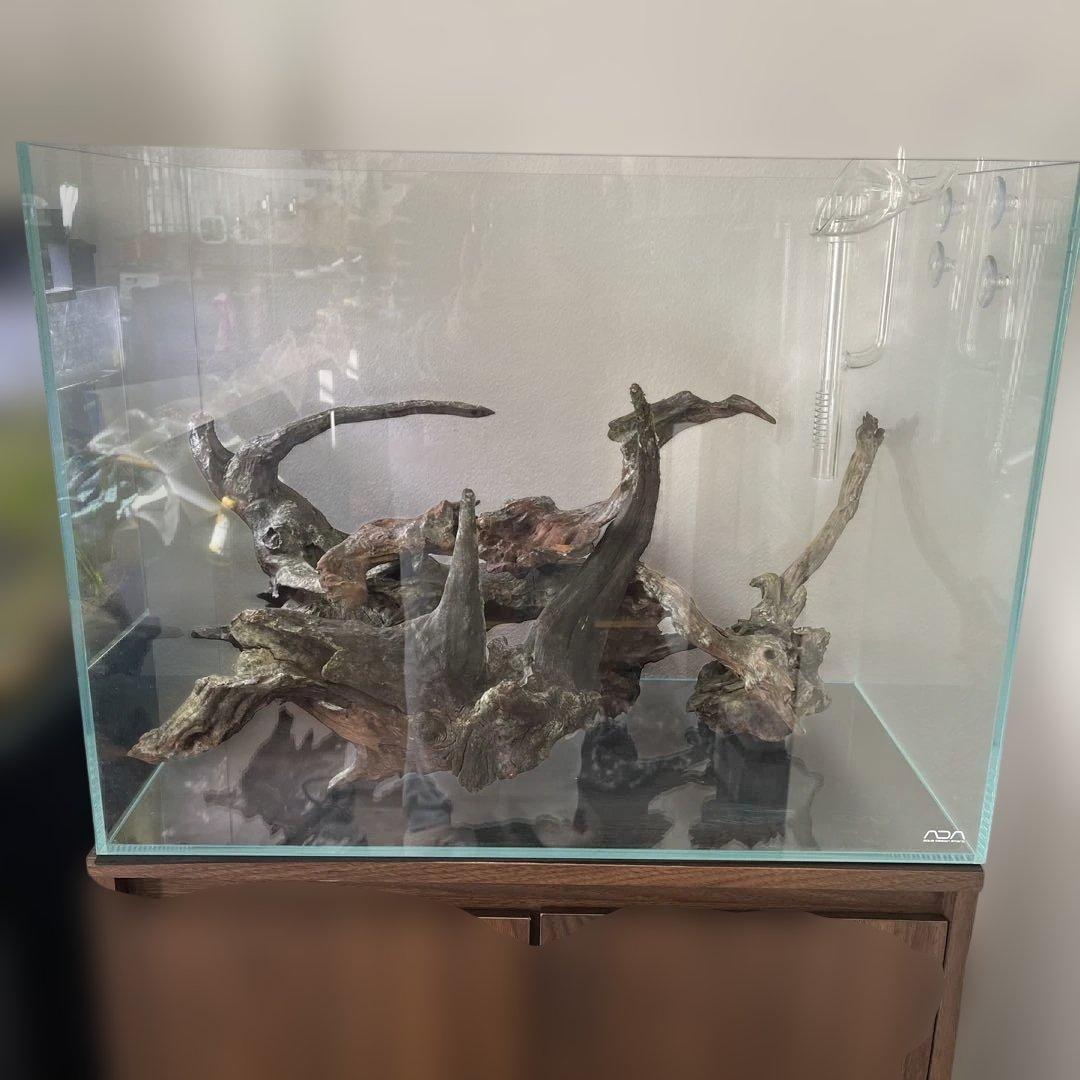 【引取限定】10万以上ADA水槽、水槽台、ゼンスイviiita