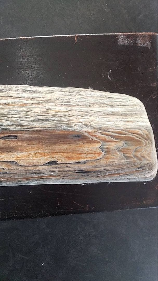 化石　珪化木　木化石　天然石 鑑賞石　水石　ビンテージ　古道具