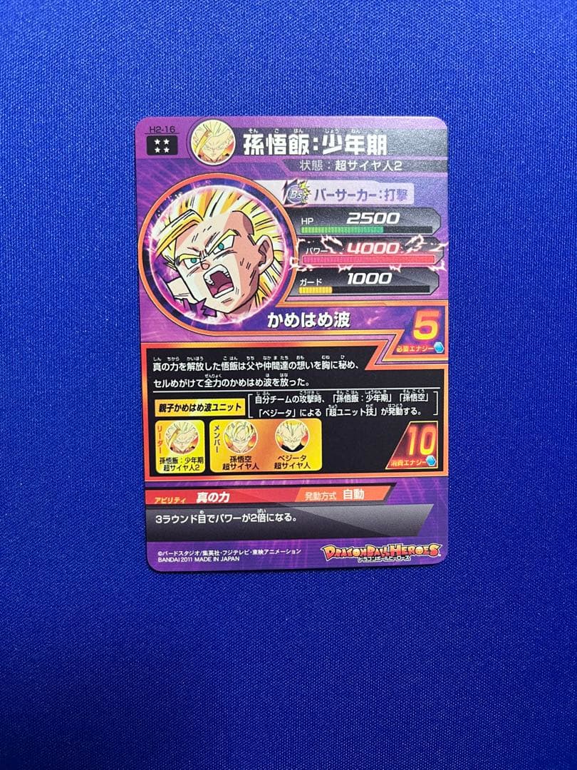 H2-16 孫悟飯:少年期 本家