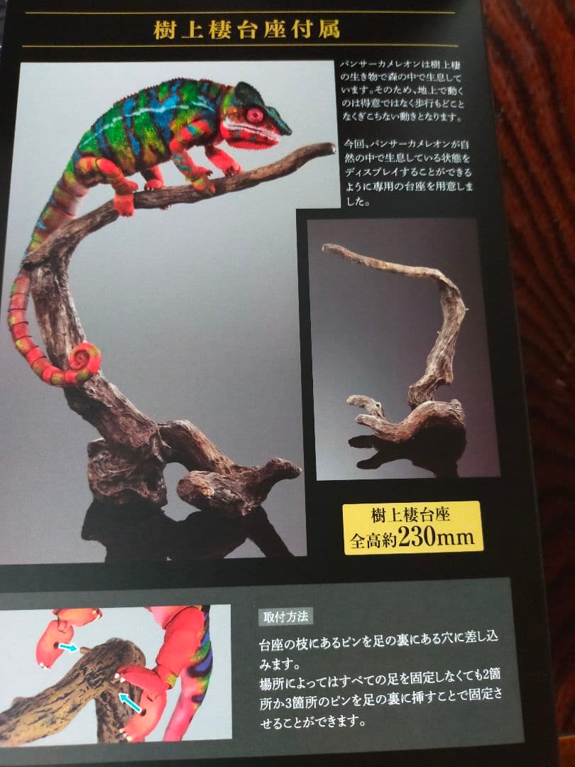 いきもの大図鑑プレミアム　パンサーカメレオン　アンビローブ・グリーン