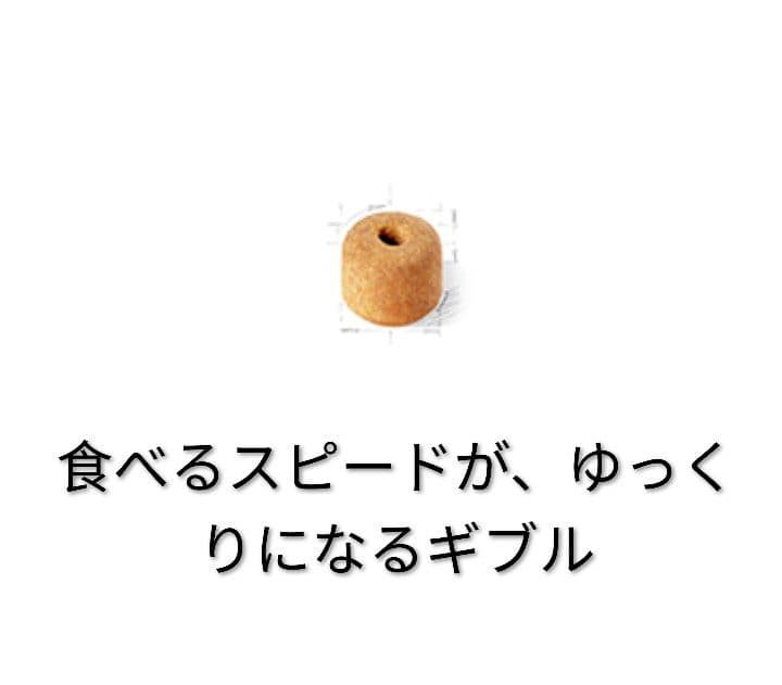 ロイヤルカナン　ラブラドールレトリーバー避妊、去勢犬用 12kg