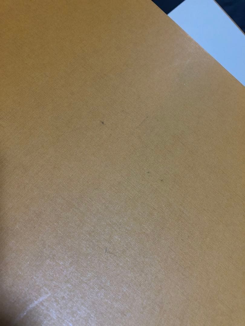 最終価格　ルイヴィトン　バッグ等箱　保存袋　まとめ売り