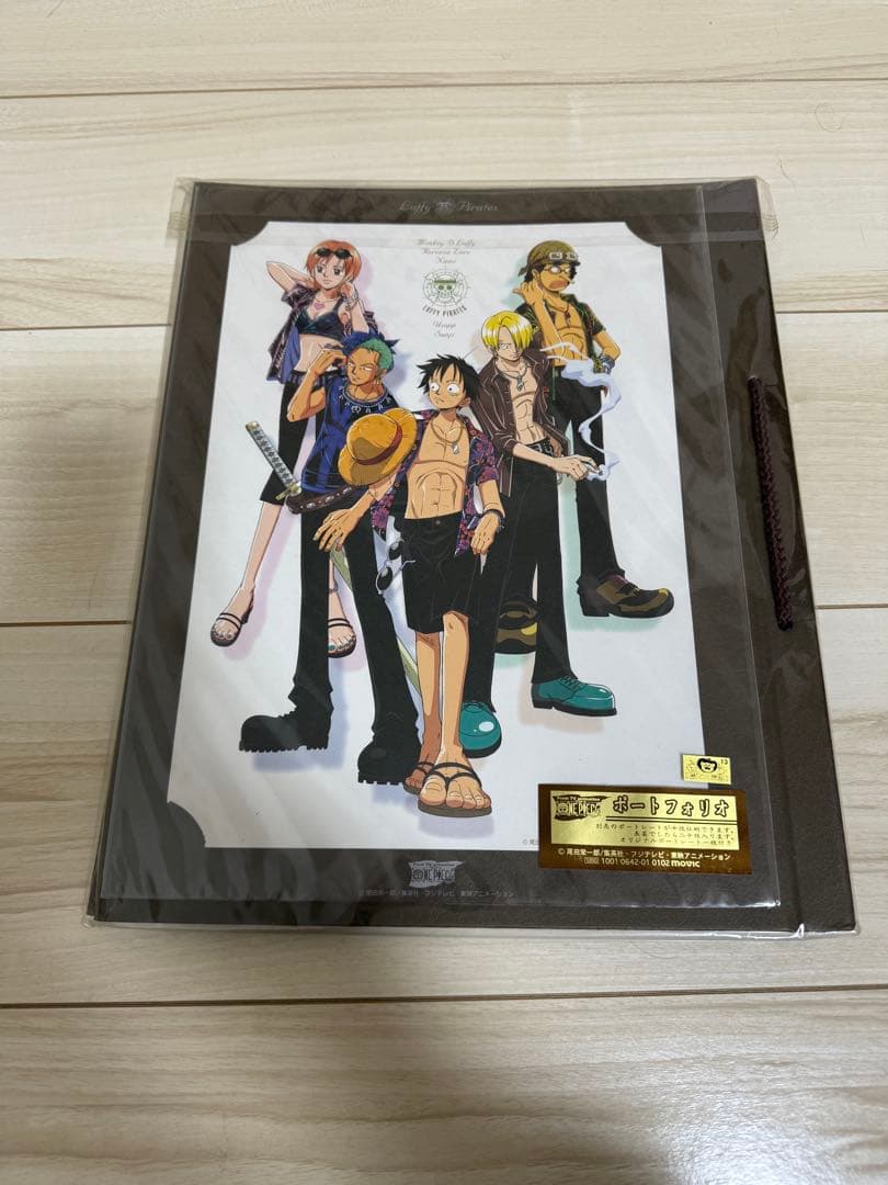 ワンピース　ポートフォリオ ルフィ海賊団　ナミ　ポートレート