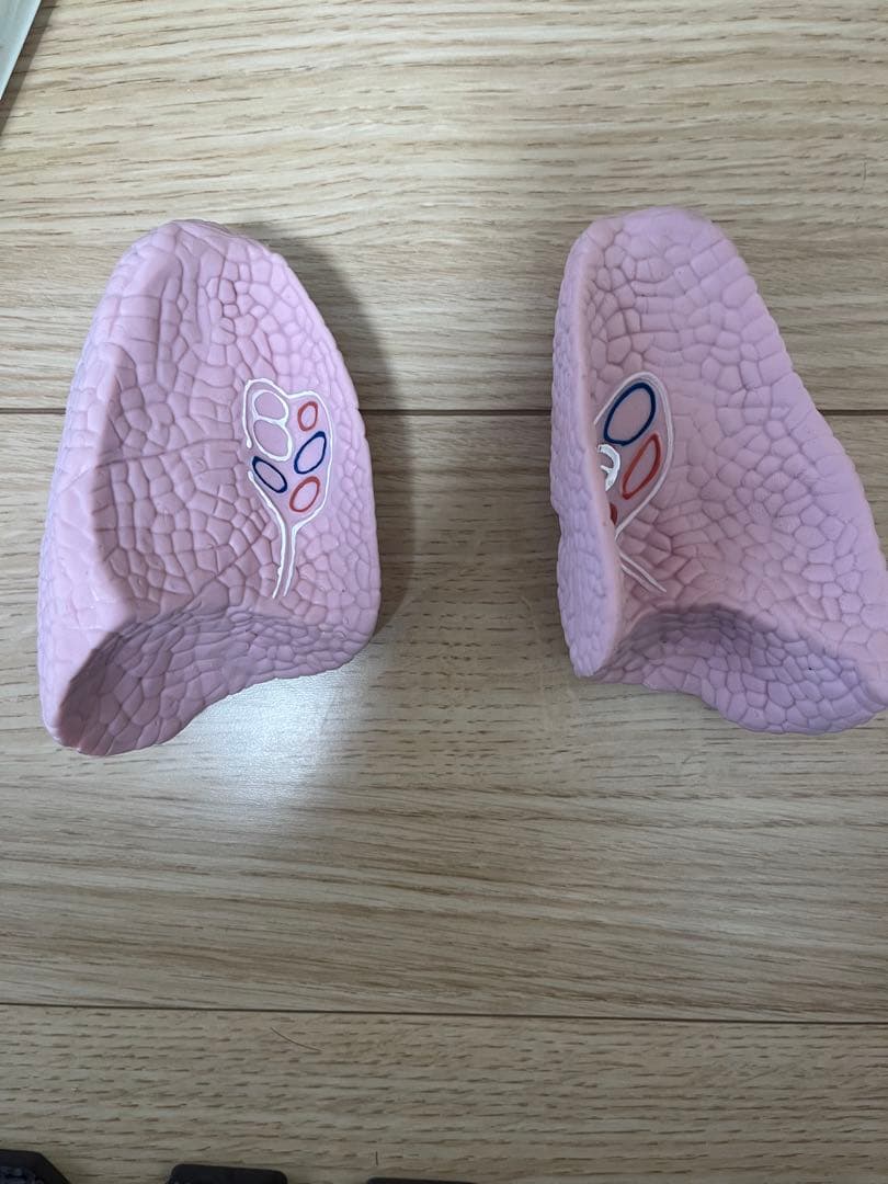 おしゃべりガイコツ　ホネッキー