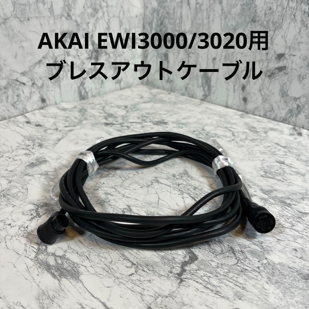 希少品 AKAI EWI3000 EWI3020用 ブレスアウトケーブル 3m