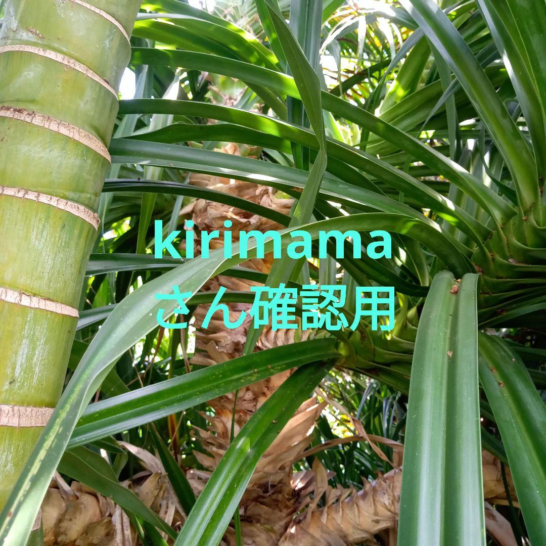 ハワイ産沖縄育ちの\