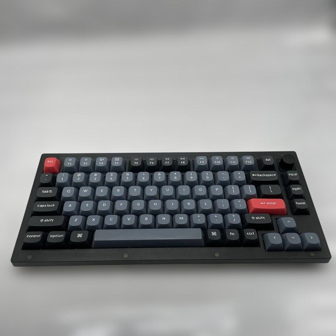 【mh/11.16/13】Keychron V1 / PR14 セット