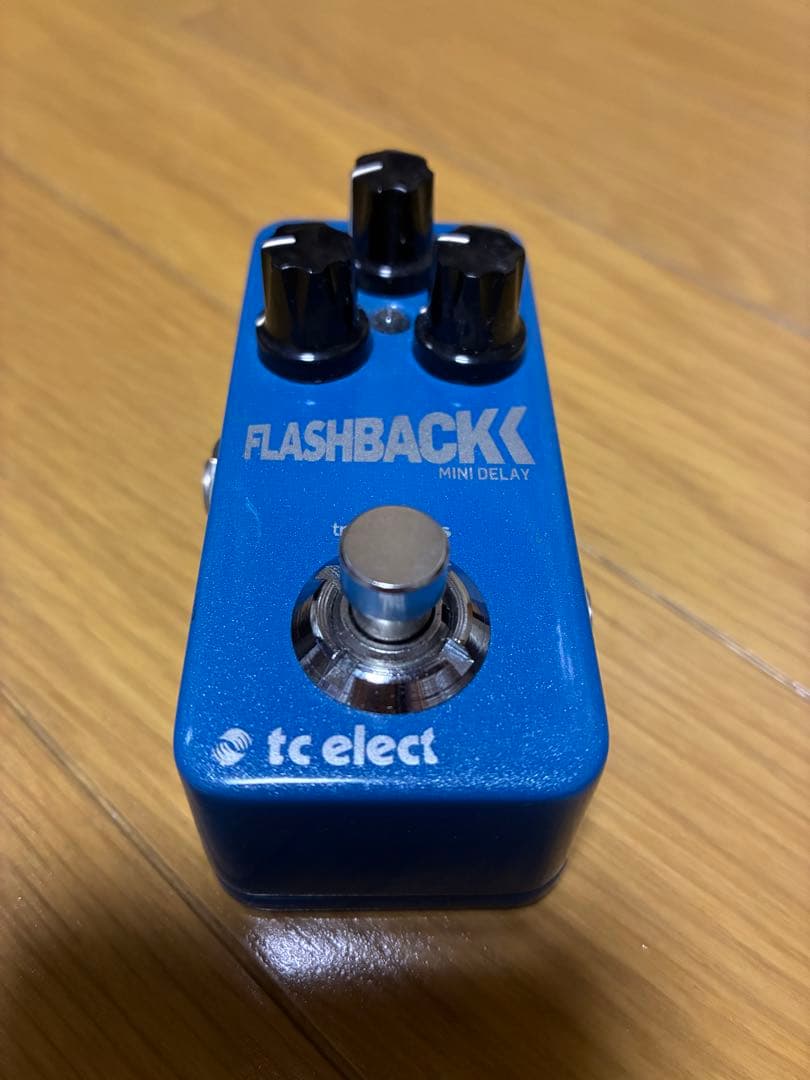 大山 tc electronic FLASHBACK DELY