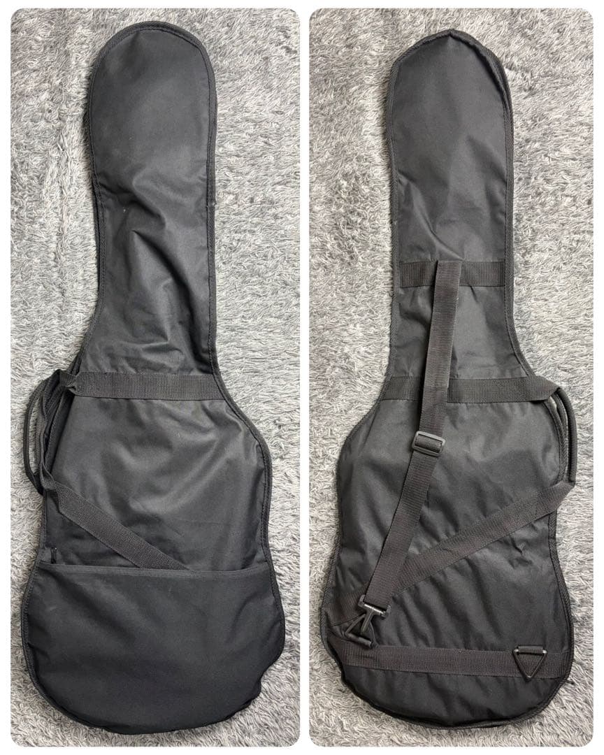 ギター Bacchus BTE-350R