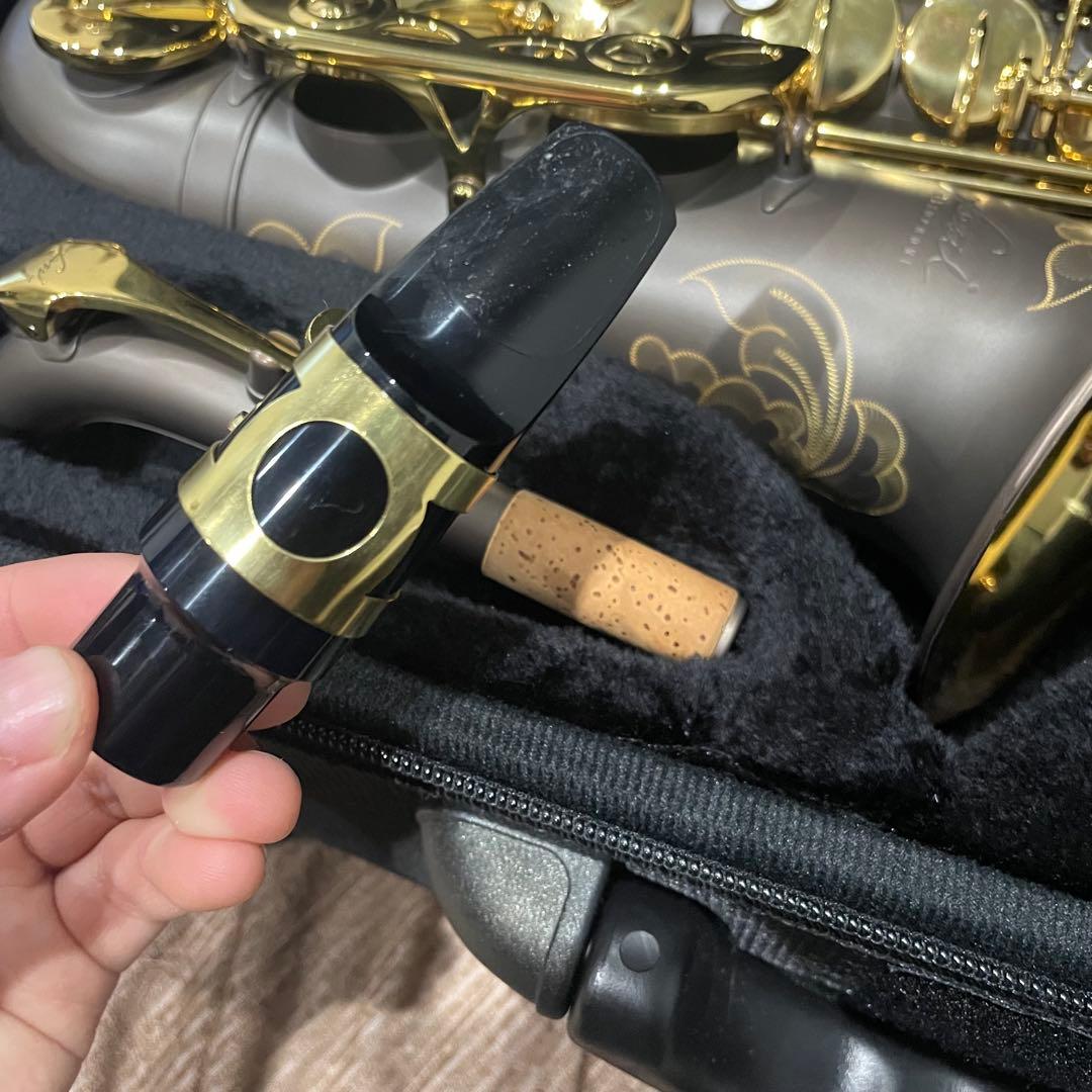 管楽器・吹奏楽器 Festi FAS-3000GML