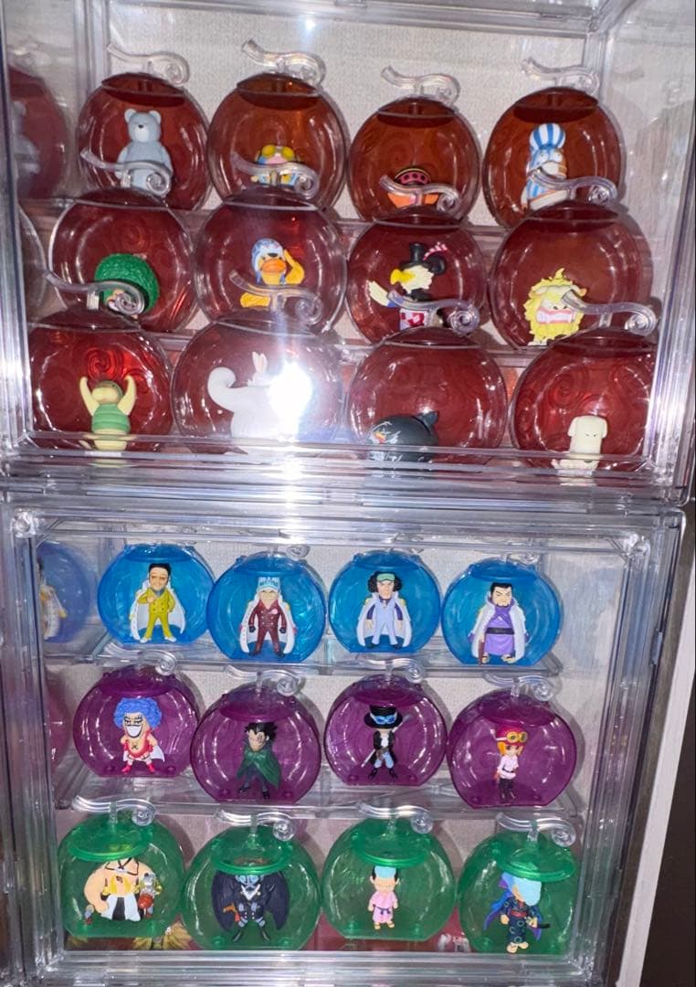 ワンピの実　フルコンプセット