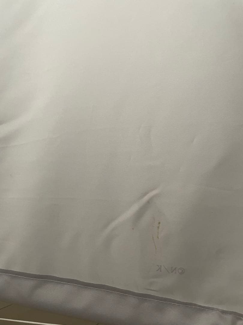 《値下げ 希少・限定品》西尾維新大辞展 忍野忍 タペストリー