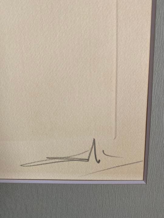 サルバドール・ダリ銅版画 「タイガーリリー虎百合」1972年作品 ダリ直筆サイン