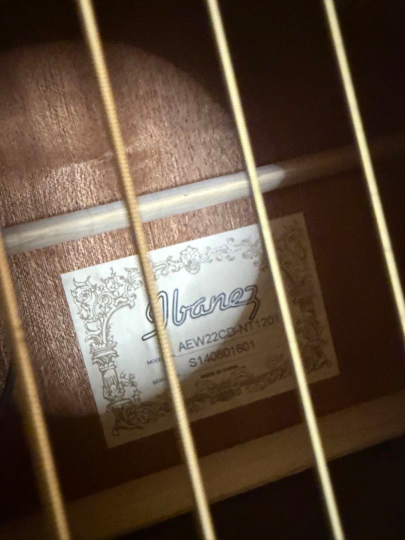 【美品】Ibanez アイバニーズ エレアコ AEW22CD-NT1201