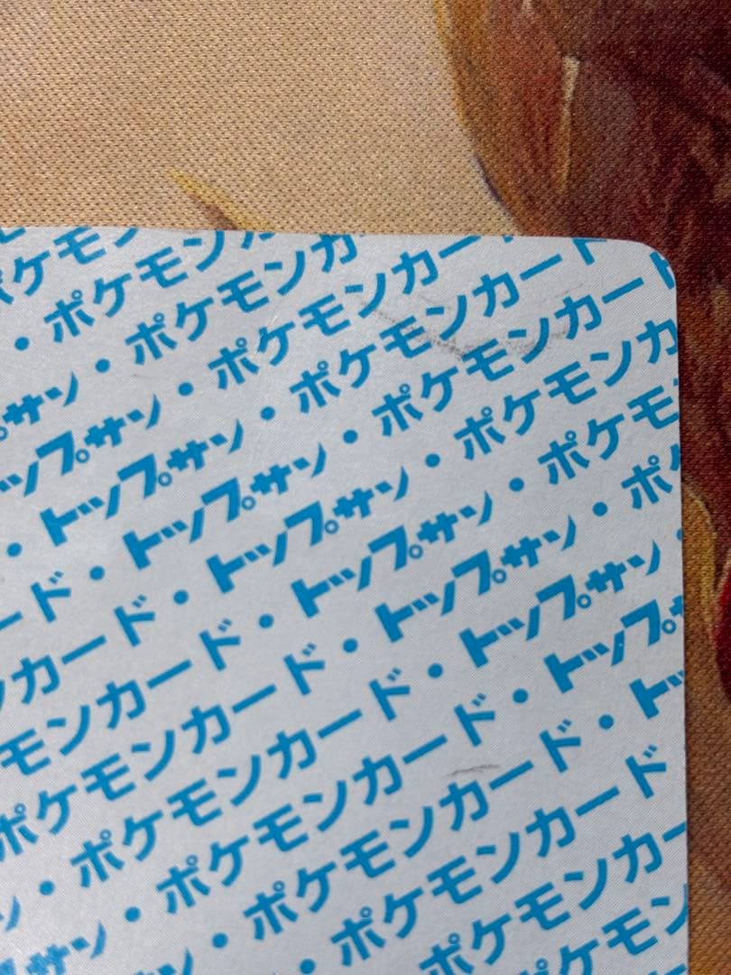 ポケットモンスター ポケモン リザードン トップサン エラー